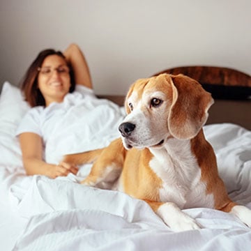 Are pets allowed at Cambria Hotel Phoenix - North Scottsdale?